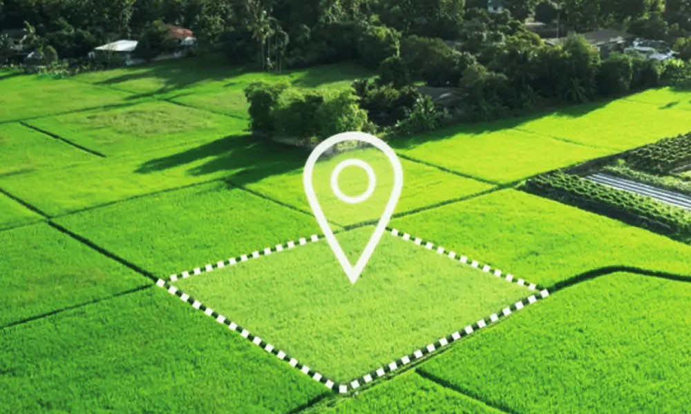 Land lease system being reformed to curb corruption