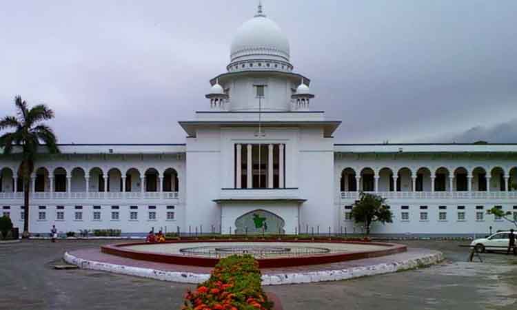 Hindu widows have the right to their husband’s agricultural land: HC