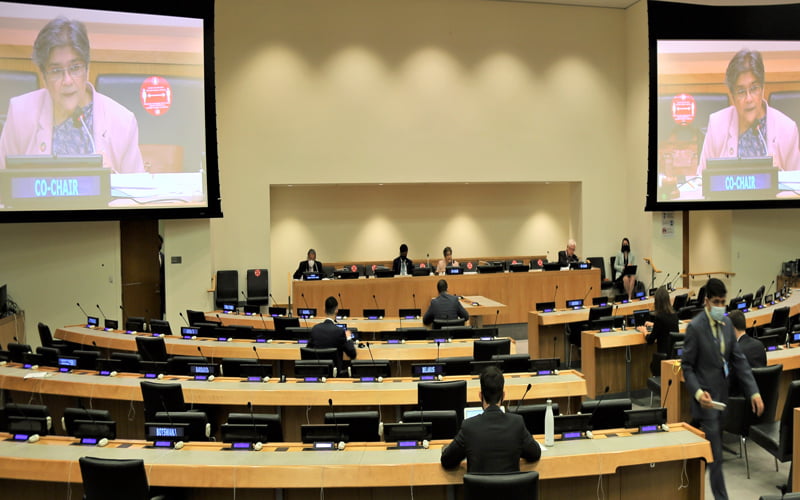 Preparatory meeting for 5th LDC Conference of UN