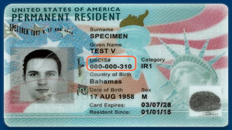 Opportunity to get a green card while staying in USA under family sponsorship