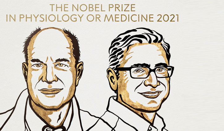 Nobel Prize in medicine awarded to David and Ardem