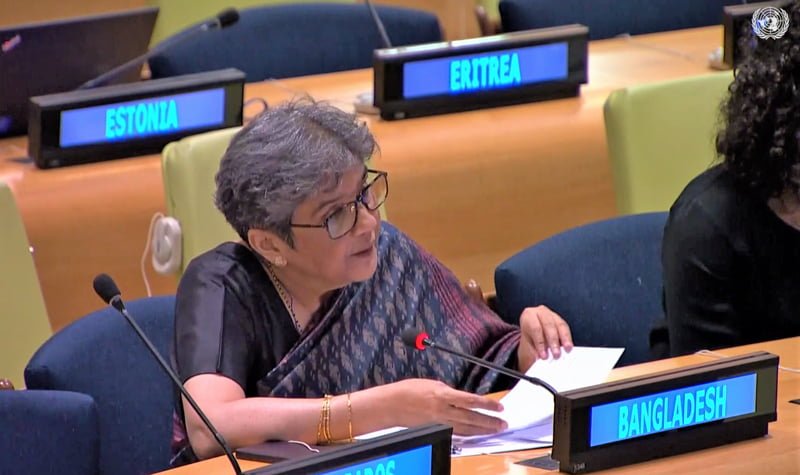 Permanent solution of Rohingyas is possible only through safe return: Rabab Fatima at UN