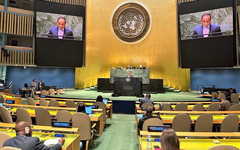 Resolution on Sheikh Hasina's 'Community Clinic' in UN