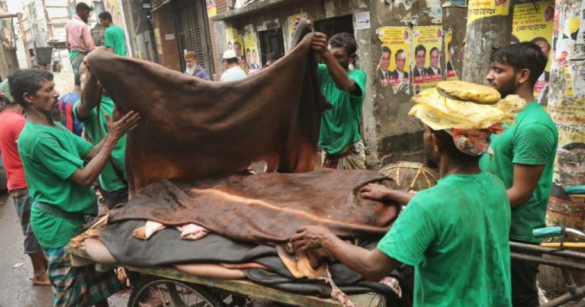 Form body to ensure fair rawhide prices, curb syndicates