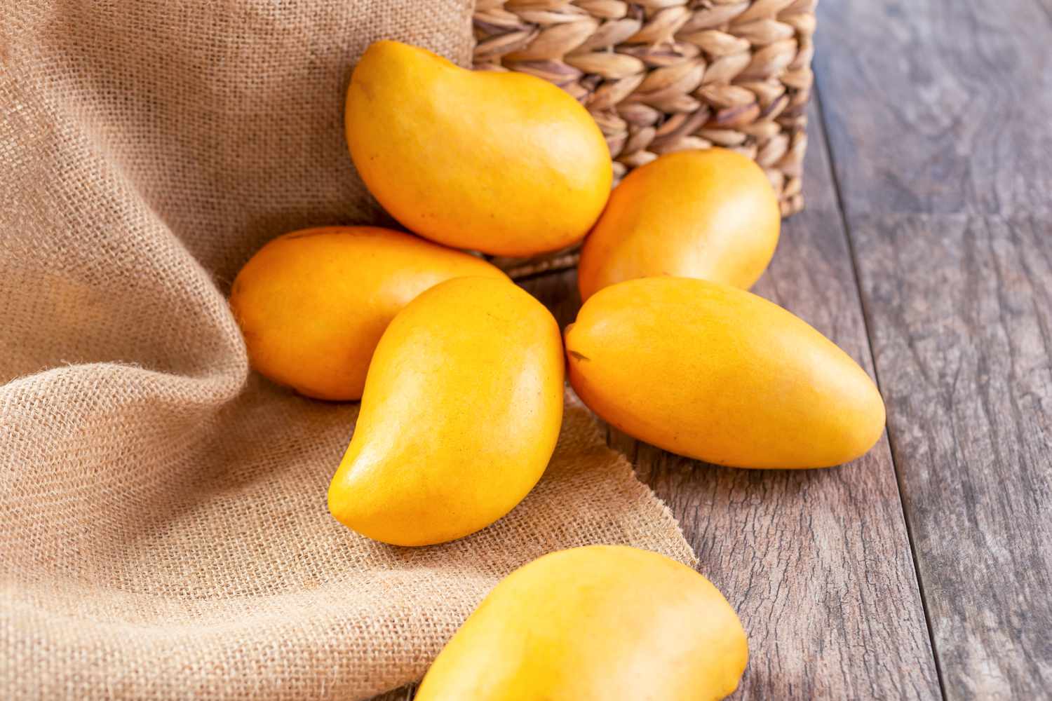 Mango exports to China starting this month: Agri Secy