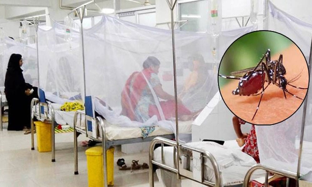 2 more die of dengue, 386 hospitalised in 24hrs: DGHS