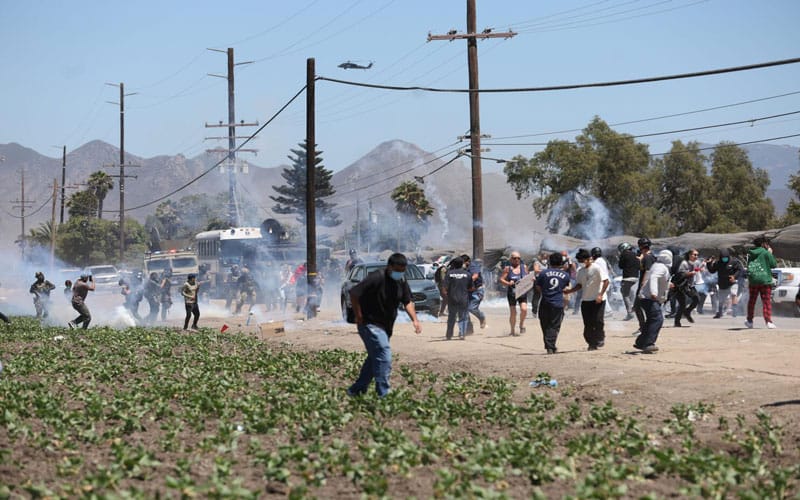 One dead, 200 arrested in immigration raid at California cannabis farm