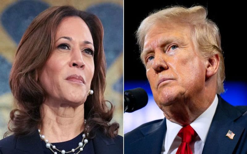 Kamala Harris should be prosecuted for buying celebrity endorsements: Trump