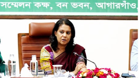 Govt plans to increase forest coverage to 20%: Rizwana