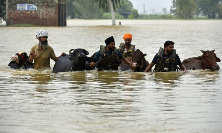 Villages marooned after deadly floods in India's Punjab