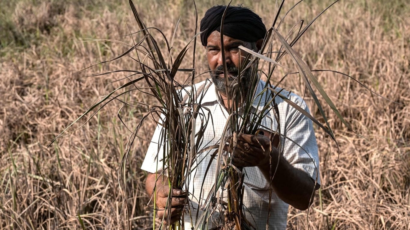 Floods devastate India's breadbasket of Punjab