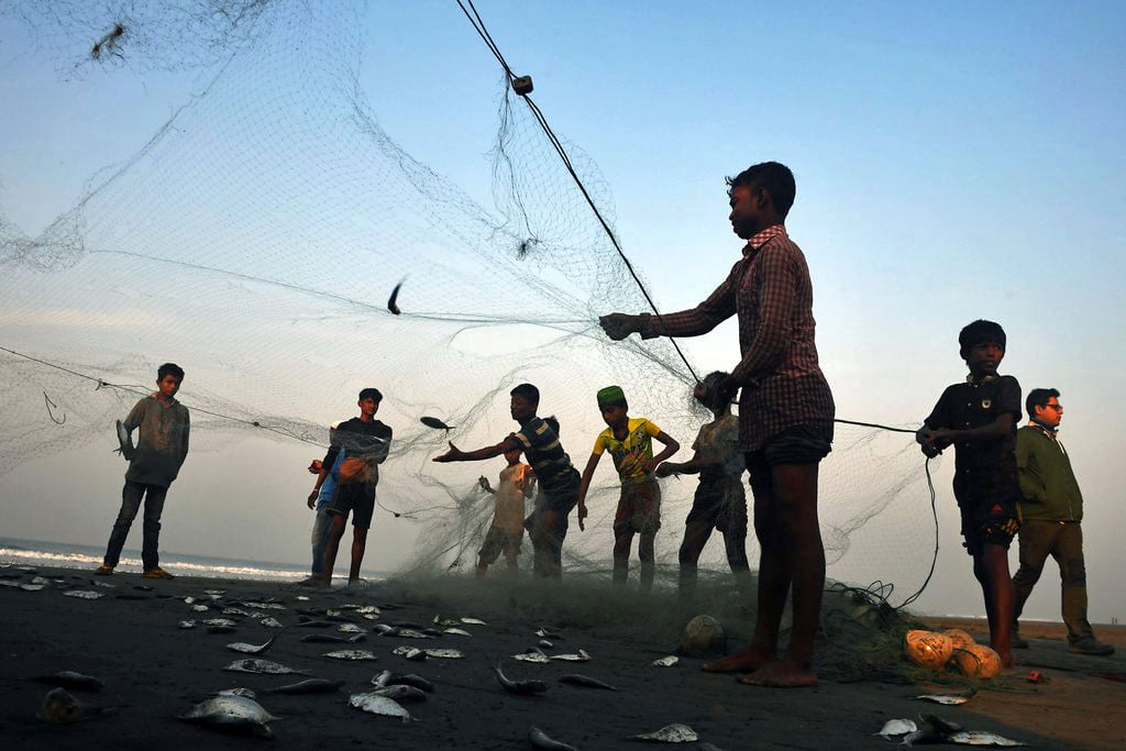 Bangladesh’s Fishing Ban Leaves Coastal Towns in ‘Nightmare Situation’