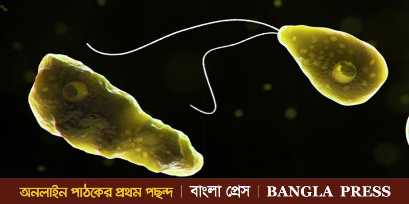 Rare case of brain-destroying amoeba confirmed in Florida