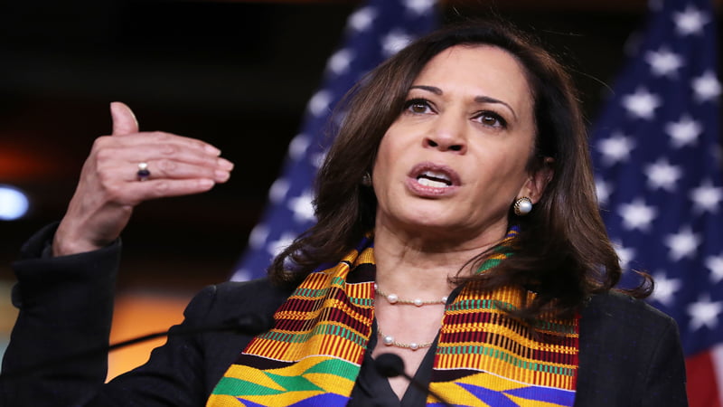 56 legislators sent Letter to Biden for oust Kamala Harris