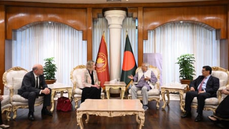 US delegation meets Chief Adviser, discusses reform, Rohingya, trade