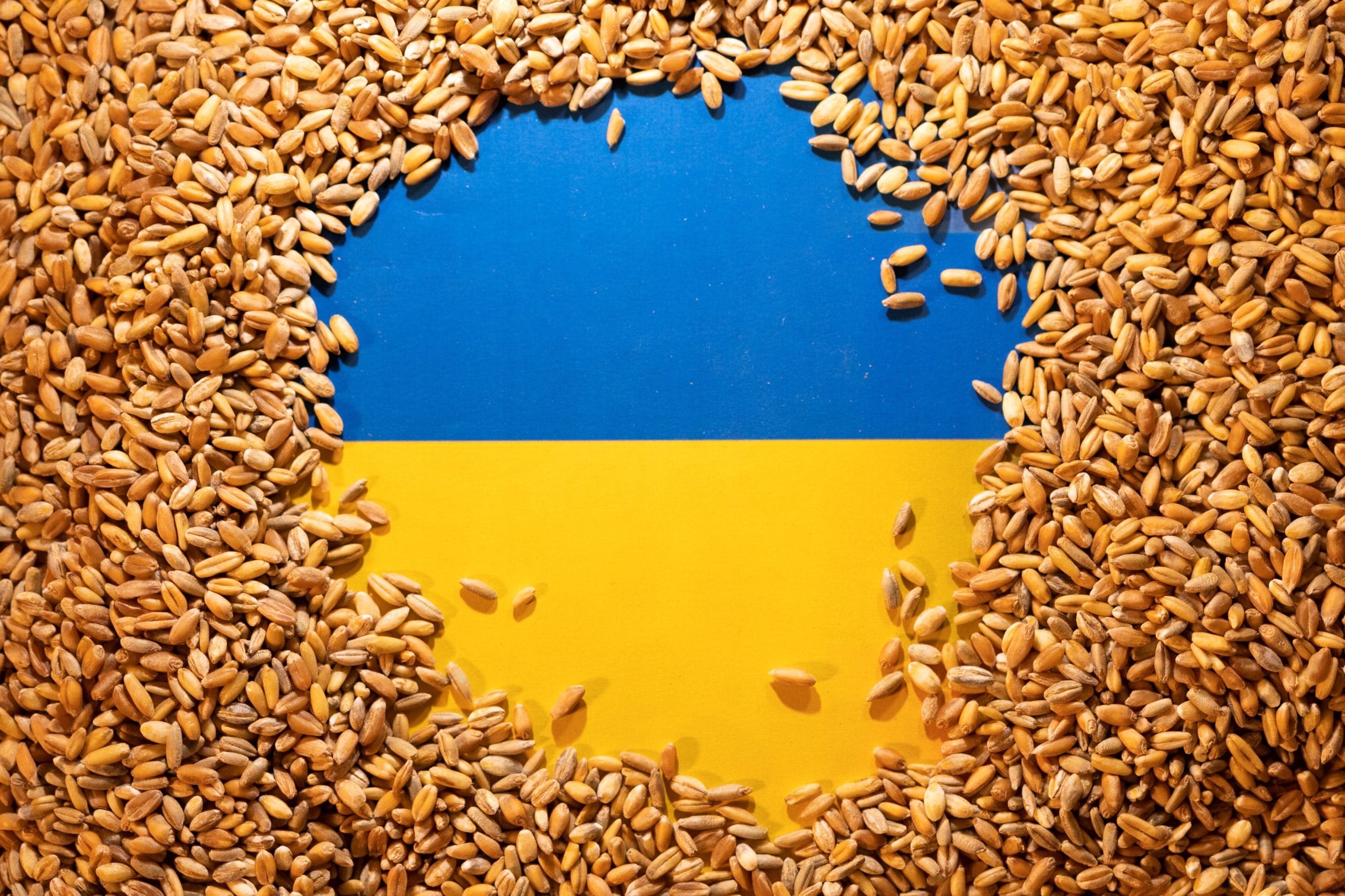 Ukraine to seek EU sanctions on Bangladeshi firms over Russian stolen wheat imports