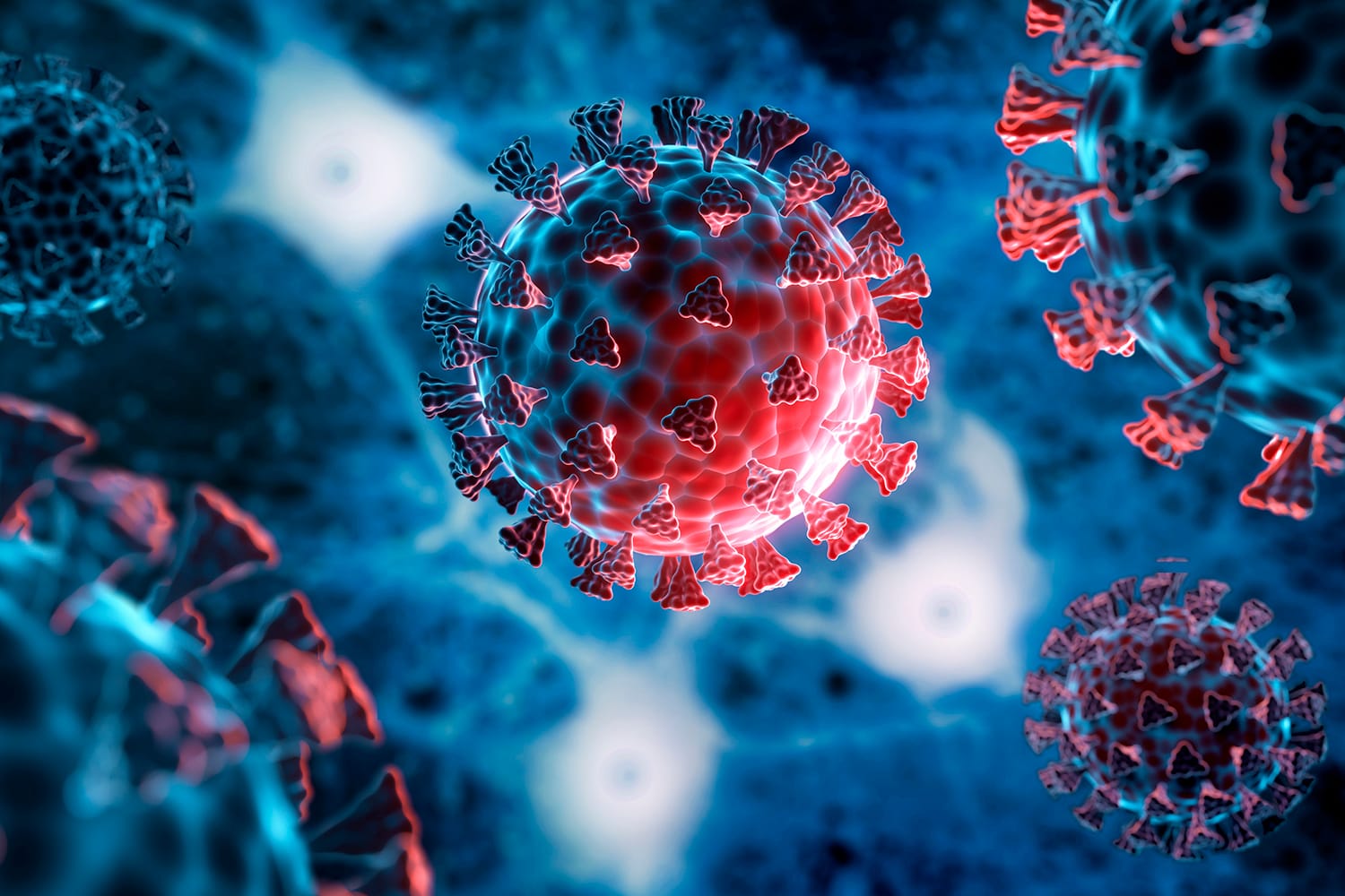 Covid infections reach 13 in 24 hours