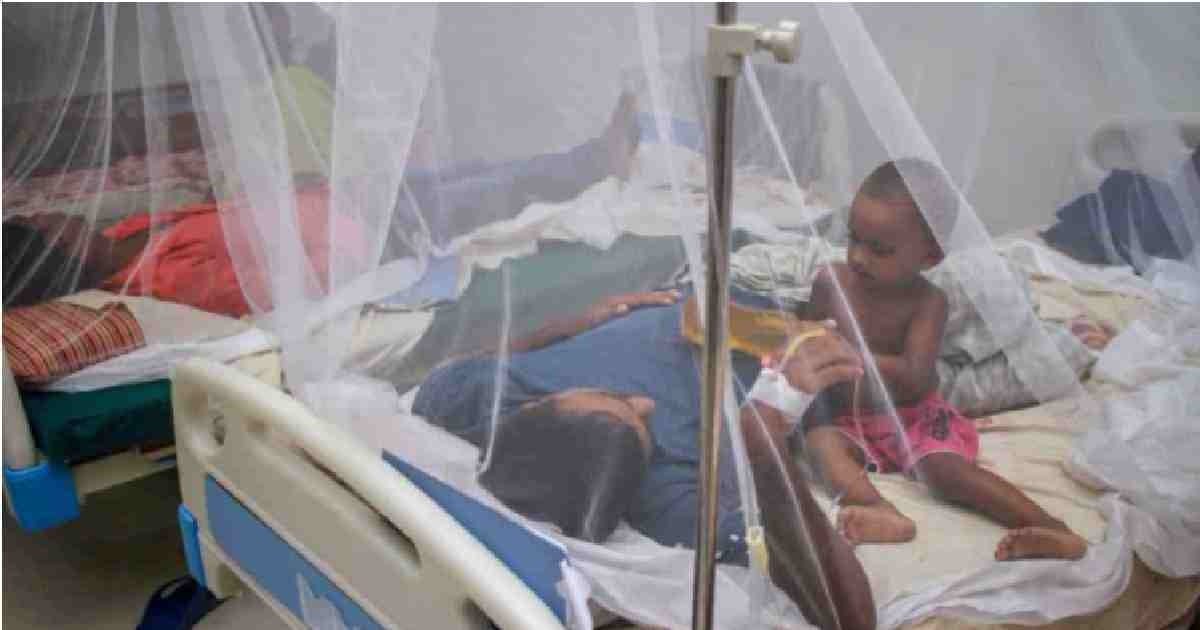 Dengue cases top 12,000 with 317 new infections
