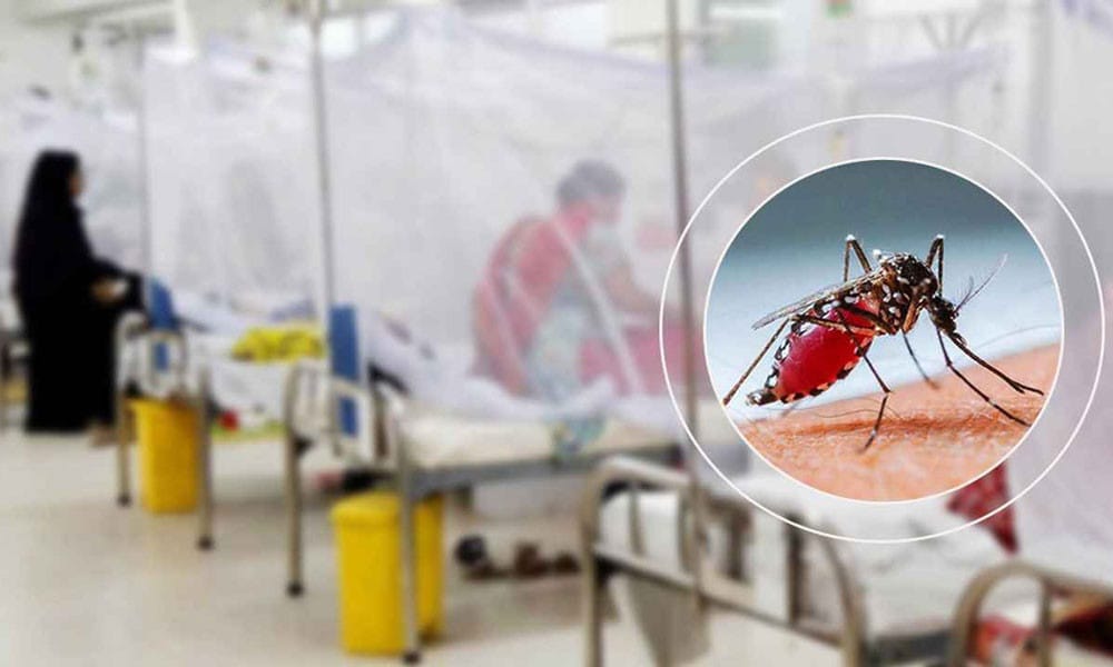 Dengue: One more death reported in 24hrs