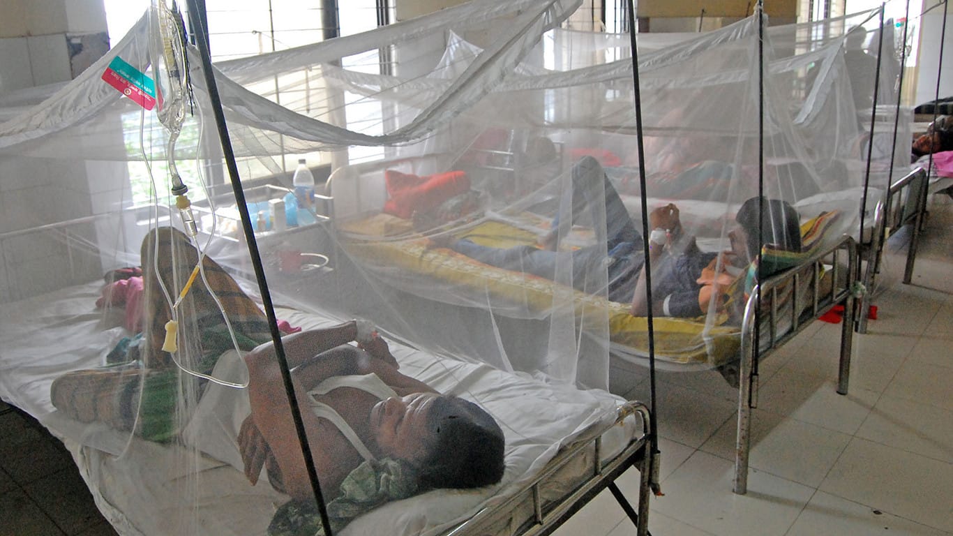 Three more die of dengue; 331 hospitalised in 24 hours: DGHS