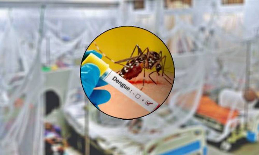 2 more deaths reported from dengue in 24hrs