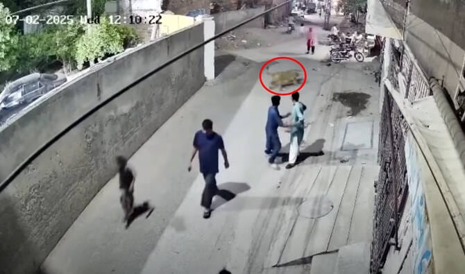 Escaped lion attacks woman, children in Pakistan street
