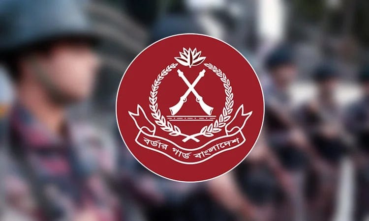 BGB seizes over Tk1 crore worth of Indian goods in Habiganj